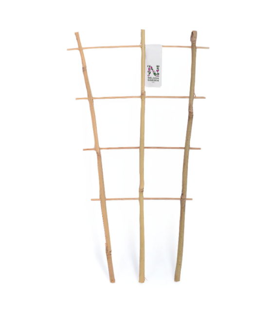 Krukspaljé bambu 60cm