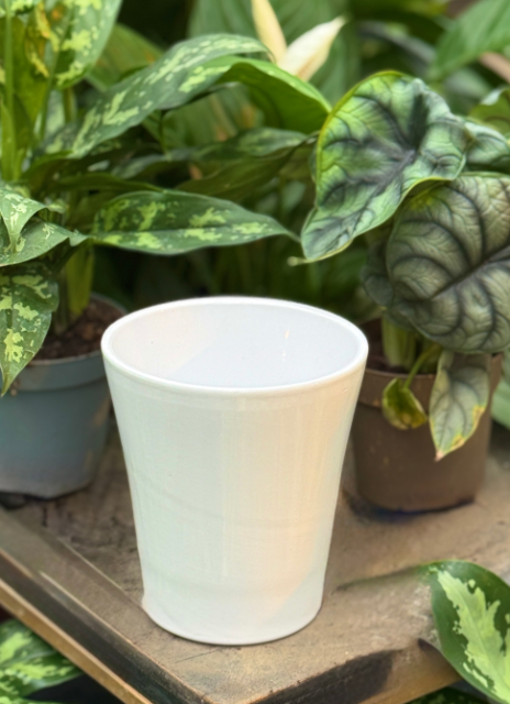 Kruka orkidé D:12,5cm vit