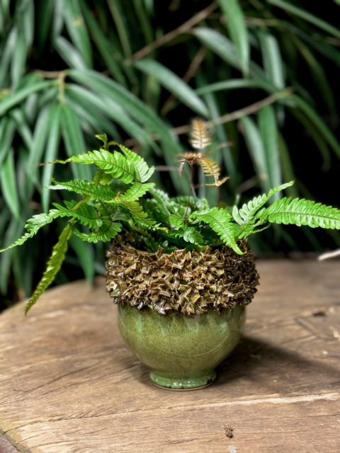 Kruka blomkrans mellan Grön