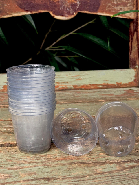 Plastkruka transparent 5,5 cm