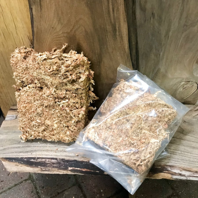 Sphagnum 100g