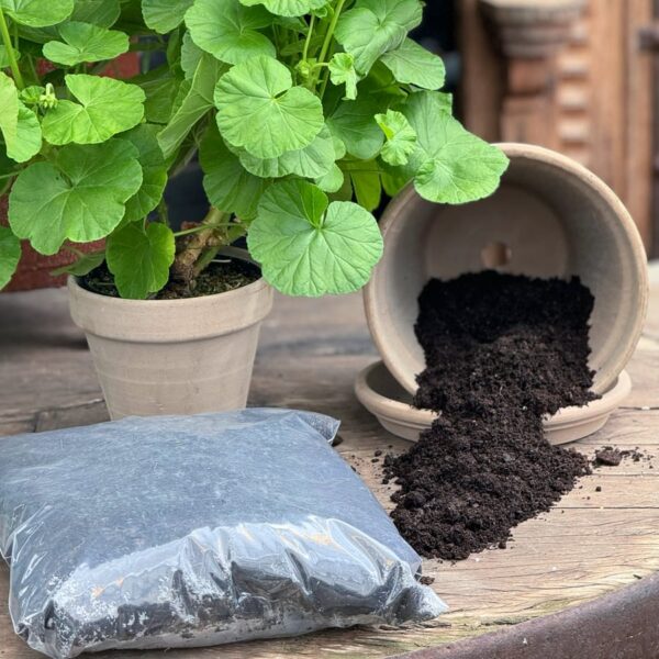 Pelargonjord Mårbacka 2L