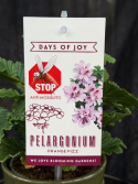 Pelargonium grav. Orange fizz