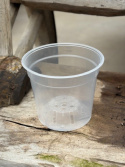 Orkidékruka transparent 15 cm