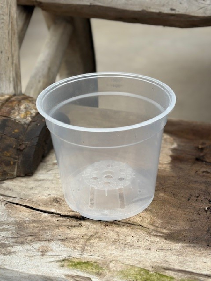 Orkidékruka transparent 15 cm i gruppen Odling & Växttillbehör / Krukor & Fat / Planteringskrukor hos Åsby Hem & Trädgård (040614)