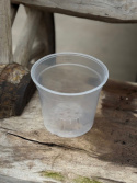 Orkidékruka transparent 15 cm