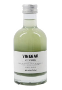 Vinegar with cucumber