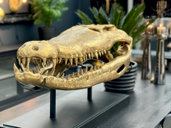 Krokodilhuvud mässing i gruppen Inredning / Figurer & Skulpturer hos Åsby Hem & Trädgård (165944)