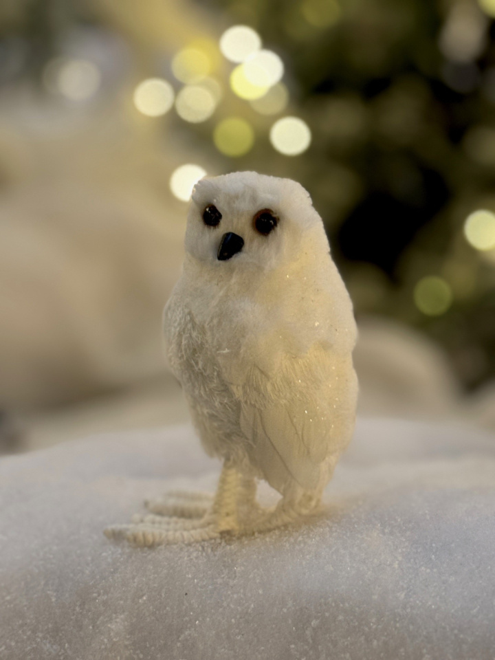 Uggla stående vit glitter 15 cm i gruppen Jul hos Åsby Hem & Trädgård (193017)