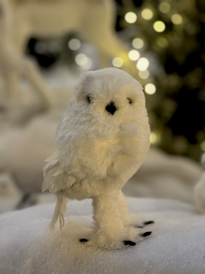 Uggla stående vit glitter 25 cm i gruppen Jul hos Åsby Hem & Trädgård (193421)