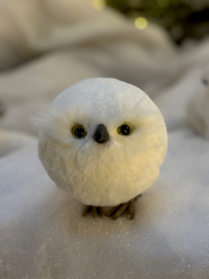 Uggla stående 17 cm i gruppen Jul hos Åsby Hem & Trädgård (193741)