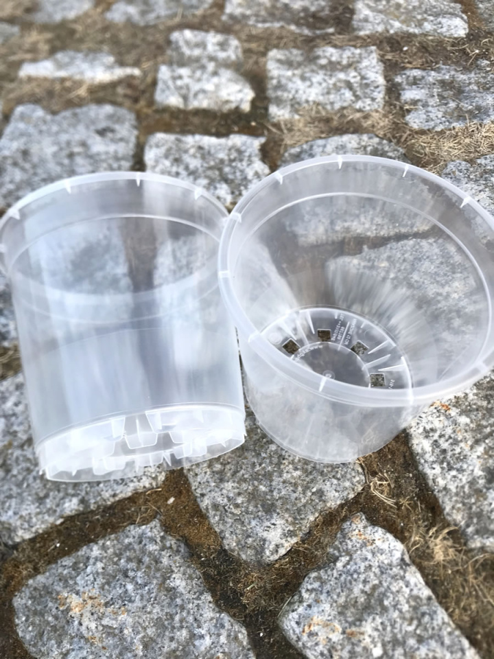 Plastkruka transparent 11 cm i gruppen Odla & Tillbehör / Krukor & Fat / Planteringskrukor hos Åsby Hem & Trädgård (194099)