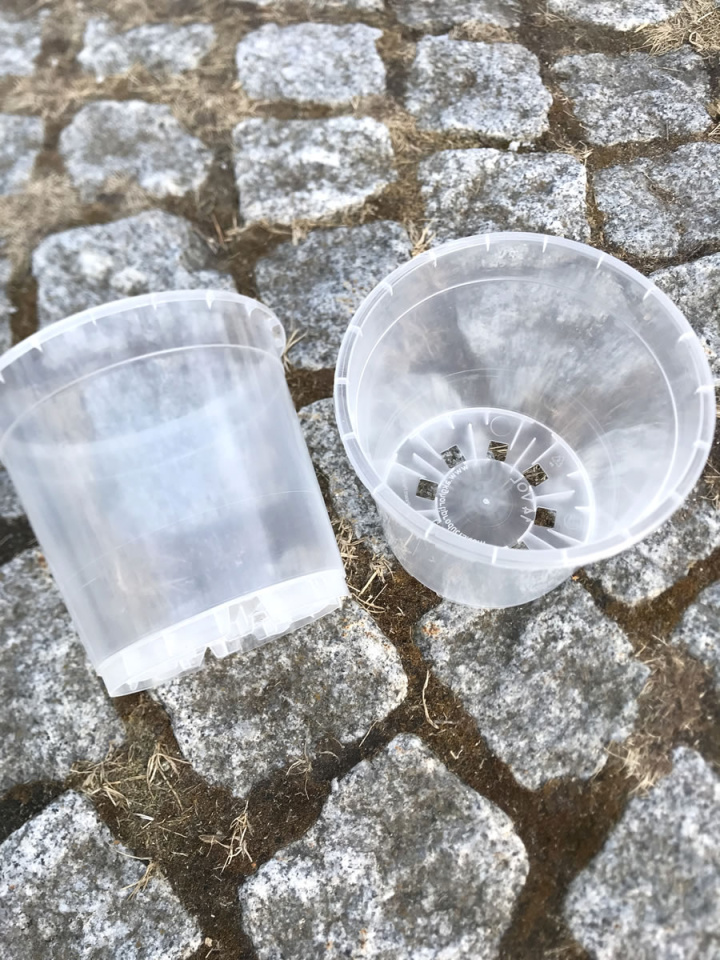 Plastkruka transparent 13 cm i gruppen Odla & Tillbehör / Krukor & Fat / Planteringskrukor hos Åsby Hem & Trädgård (194100)