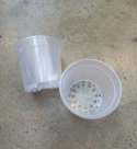 Orkidékruka transparent 17 cm