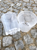 Plastkruka transparent 19 cm