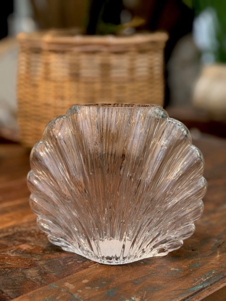 Vas Shell i gruppen Inredning / Krukor & Vaser / Vaser hos Åsby Hem & Trädgård (194736)