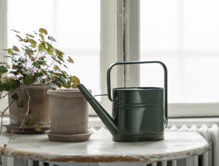 Trädgårdsvattenkanna 45x16,5x39 Salvia i gruppen Odla & Tillbehör / Tillbehör / Redskap hos Åsby Hem & Trädgård (194964)